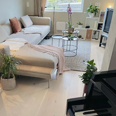 Apartment Feels Like -free Parking -attractive Location *